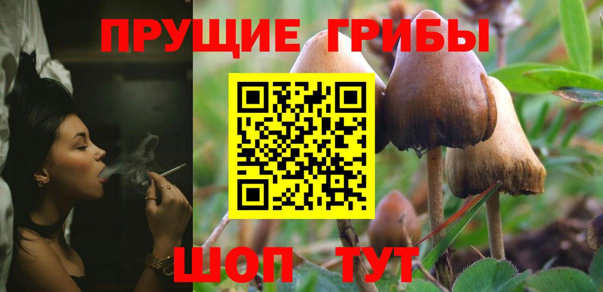 Псилоцибиновые грибы Psilocybe  Галлюциногенные грибы мухоморы  сколько стоит  Вход с VPN  Обь 